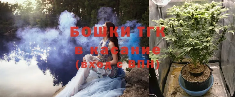 где купить наркотик  Абинск  MEGA зеркало  Конопля White Widow 